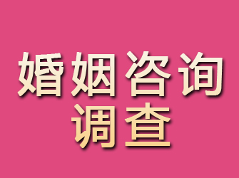 神池婚姻咨询调查