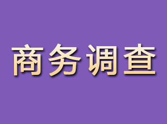 神池商务调查